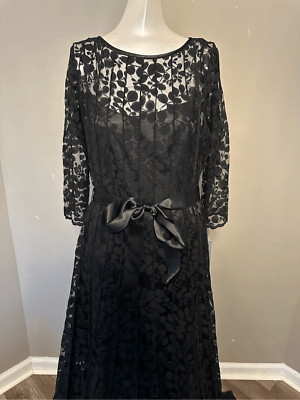 Teri Jon by Rickie Freeman Lace Pintuck Gown | eBay