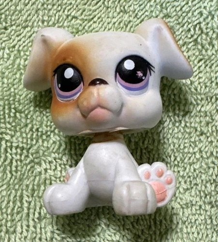 Hasbro Littlest Pet Shop LPS #84 White Brown Boxer Puppy Dog 240331 Purple Eyes