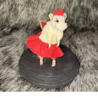 Taxidermy Rat Pedestal Mount Small Animal Species in Red Dress on Display Base