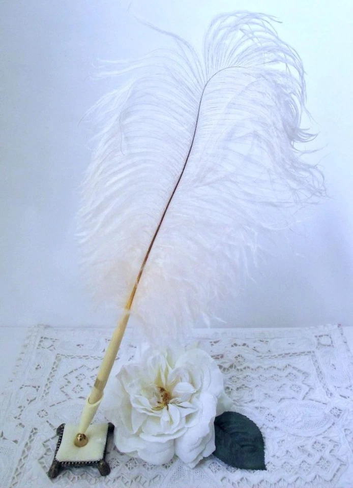 Elegante pluma de avestruz Hortense B. Hewitt de colección con soporte de terciopelo blanco Foto 3 de 4