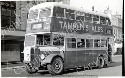 Bus Foto - EASTBOURNE CORPORATION - AEC REGENT III BUS - AHC 448