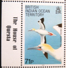 BRITISH INDIAN OCEAN TERRITORY 1990 SG99 71p. BIRDS - WHITE TERN -  MNH