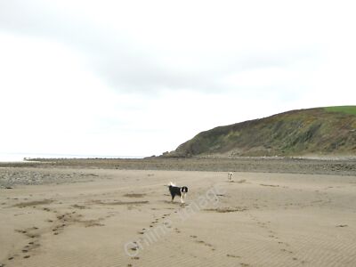 Foto 12x8 Ebbe in Auchenmalg Bay Sand ist bei Ebbe ausgesetzt. slack c2010