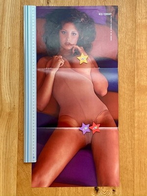 Playboy Centerfold US Playmate Month February 1975 Poster Original Vintage