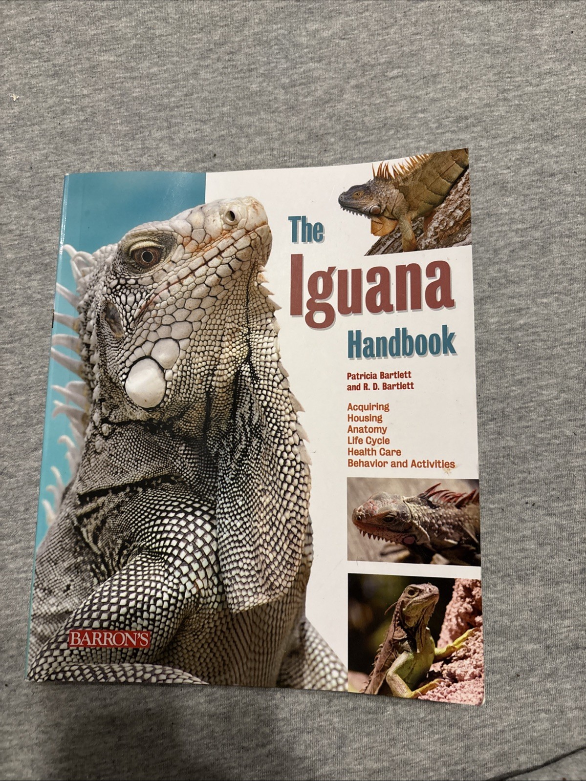 The Iguana Handbook by Patricia Bartlett Paperback Book