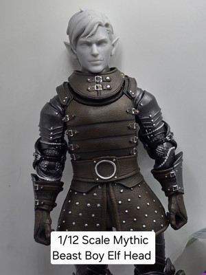 3d Printed BEAST BOY ELF Head 1.0 Scale For Mythic Legions 1/12 figure 