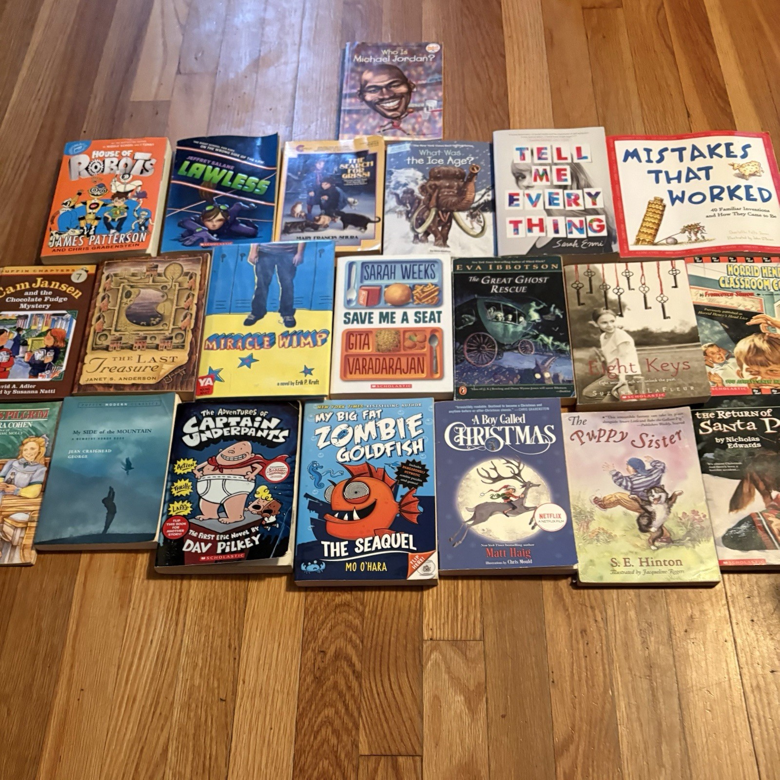 Lot Of 21 Mixed Preowned Children Chapter Books