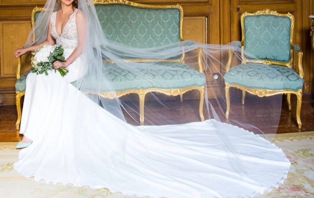 Ebay pronovias wedding dress cheap
