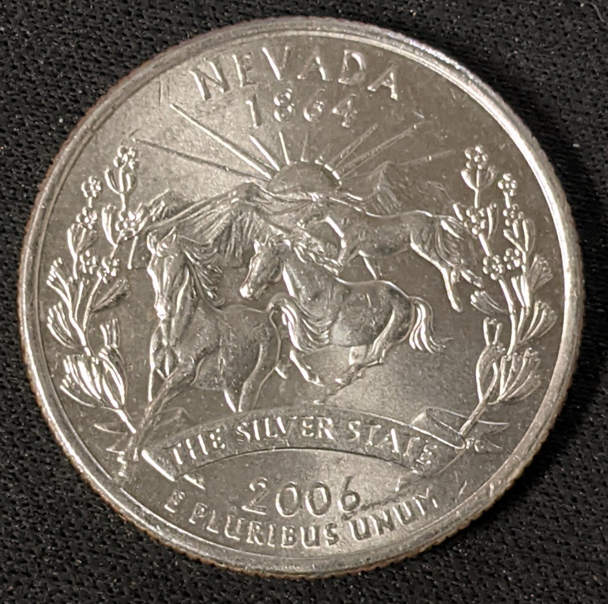 2006 P Nevada State Quarter Error, Pooping Horse / Die Chip | eBay