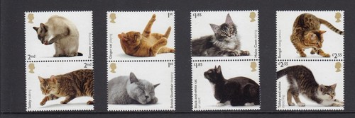 GB 2022 PAQUETE DE PRESENTACIÓN GATOS No 618 COMO NUEVO JUEGO DE SELLOS POR ROYAL MAIL - Imagen 4 de 5