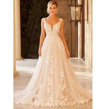 Soft Champagne Tulle A-Line Bridal Gown with V-Neck Cap Sleeve Lace Appliques