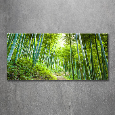 Wandbild aus Plexiglas  Druck auf Acryl 120x60 Landschaften Bambuswald