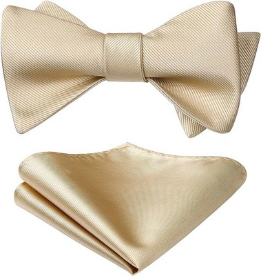 HISDERN Bow Ties for Men Solid Color Self Tie Pocket B1-champagne 
