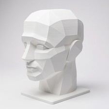7" 17.78 cm Planar Head, Planar Bust, Learn the Planes of the Head, Human head