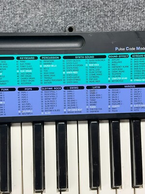 カシオキーボードCA-100 TONE BANK $_12.JPG?set_id=880000500F
