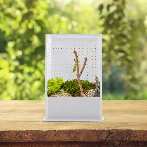 Stick Insect Enclosure High Transparent Reptile Cage Villa Box Terrarium - Picture 7 of 11
