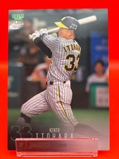 Hanshin Tigers 33 Kento Itohara 2024 Baseball Card Japanese TCG BBM