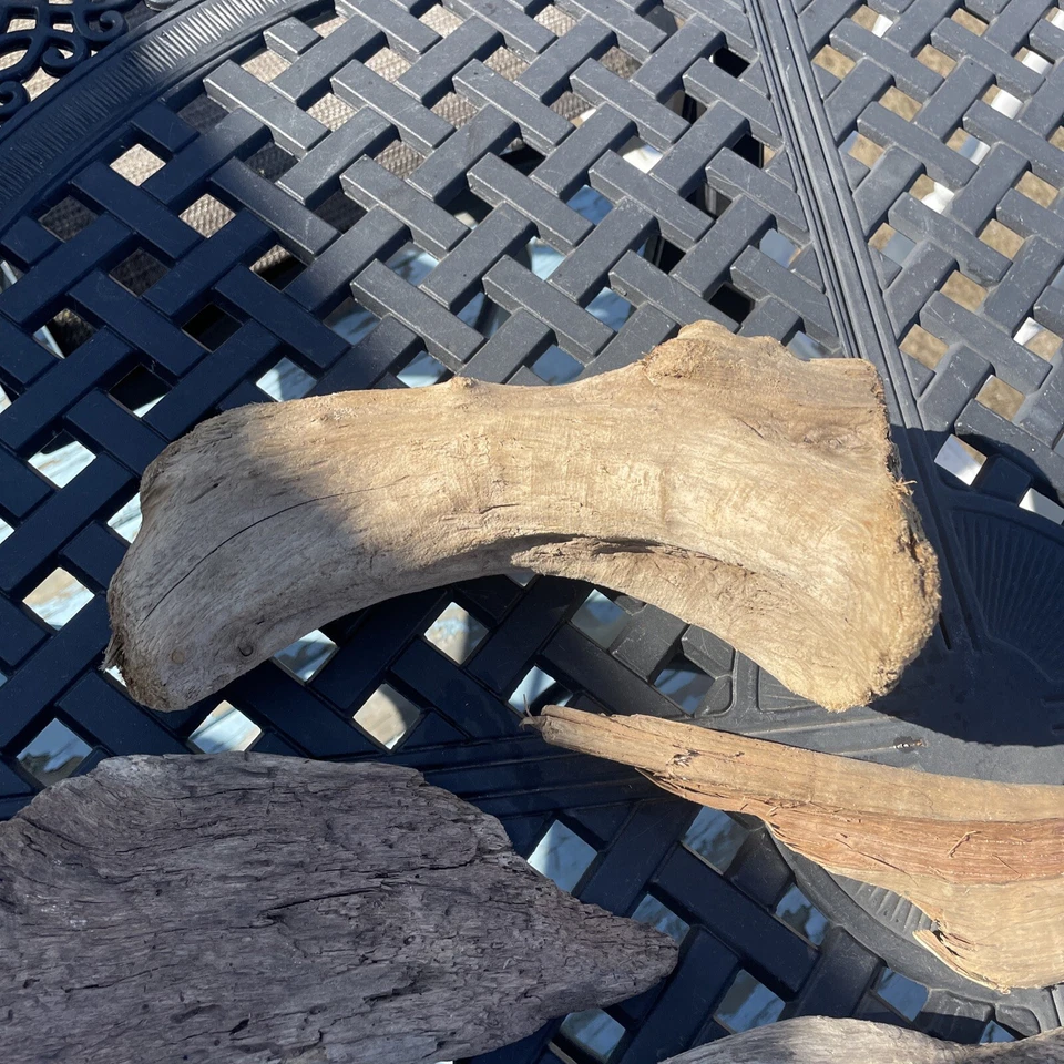 Madera a la deriva sin tratar GRAN lote decoración acuario terrario reptiles artesanía Foto 3 de 4