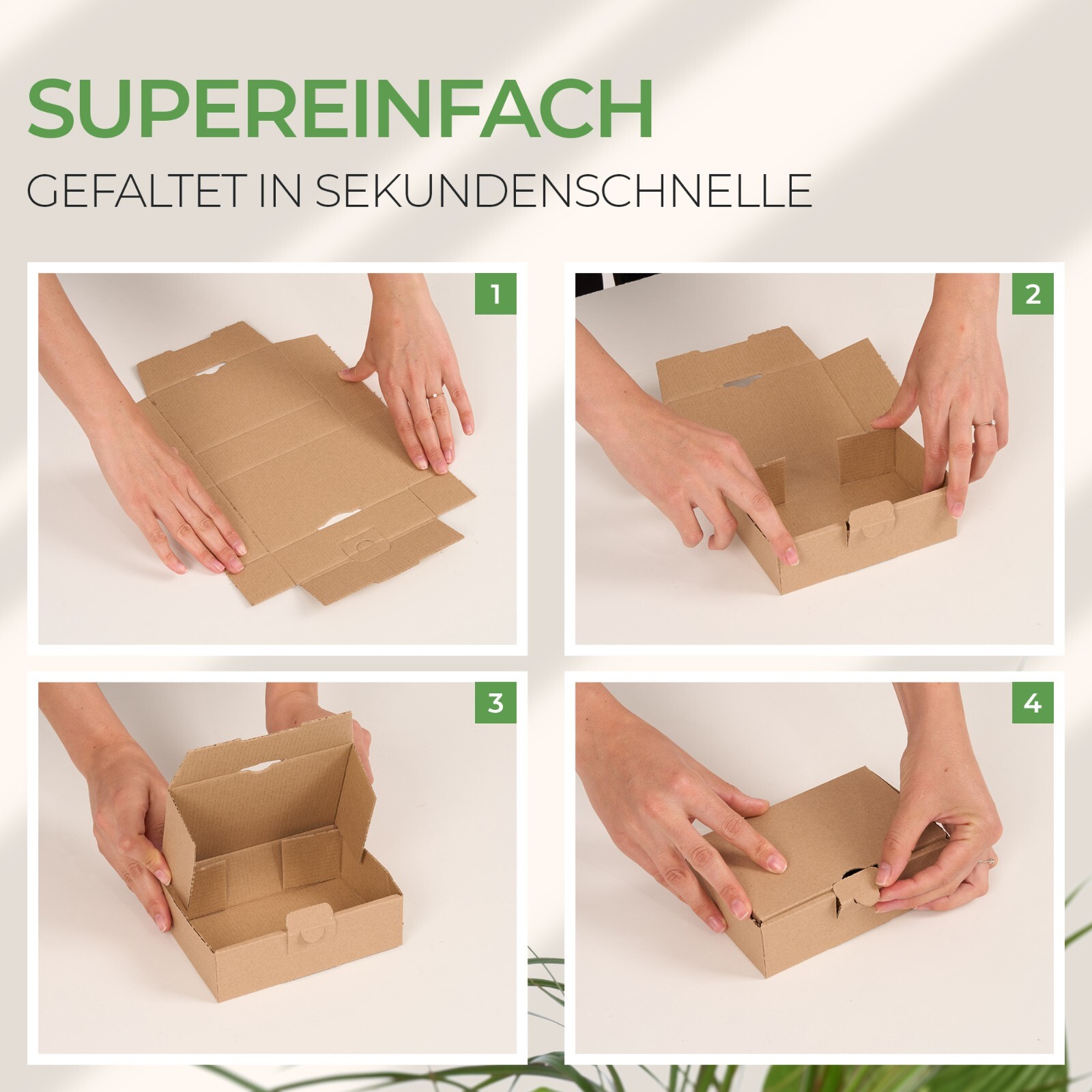 Bild 9 von 13