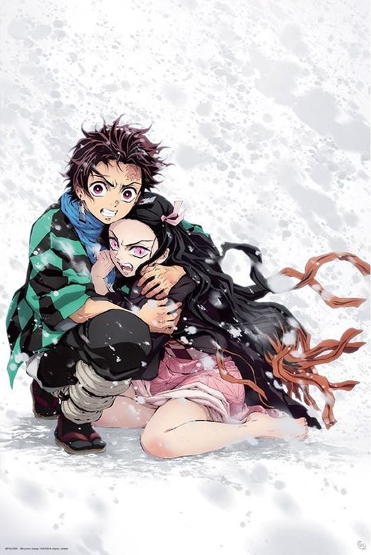 Laminated Demon Slayer Tanjiro & Nezuko Snow  Maxi Poster