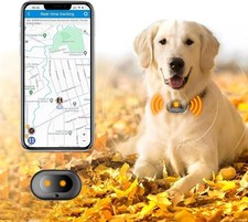 GPS 4G Tracker & Surveillance de la Santé pour Chien avec LED Allume, Sonnerie, Waterproo