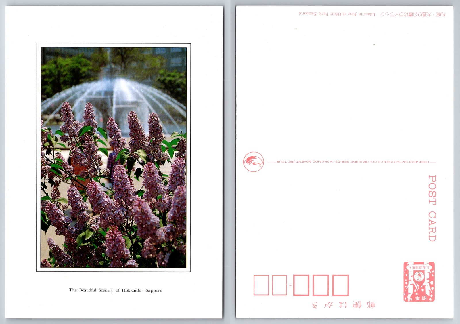 Continental Hokkaido Sapporo Fountain Flowers Postcard