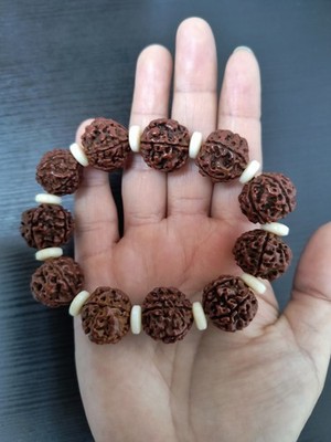 Mukhi Rudraksha Stretchable Bracelet Nepal Origin Energized