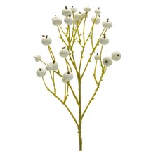 Melrose White Berry Spray (Set of 6)