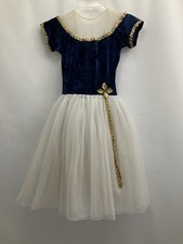Blue  White Ballet Dance Costume