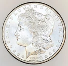 *1882 S MORGAN SILVER DOLLAR* *GEM BU+++* NR #G3862