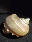 Foto 1 di 7