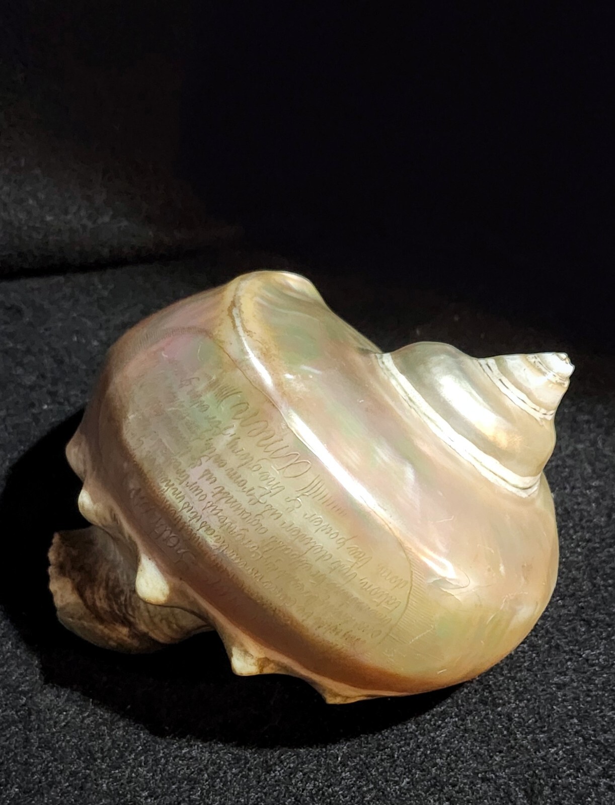 Foto 1 di 7