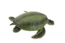 Green Sea Turtle, Realistic Toy Figure Model Replica Educational, 8" CH234 BB120