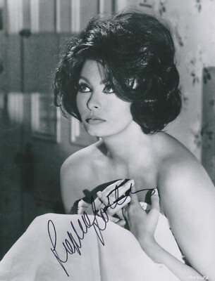 SOPHIA LOREN Original Autogramm signiertes seltenes 20x26 Großfoto Top Portrait