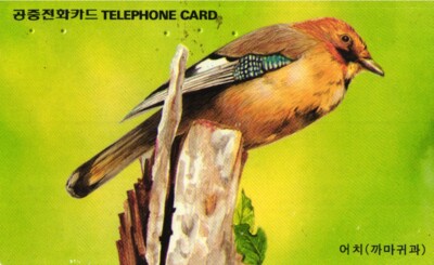 914 Card Telefonbuch Phonecard Gebraucht Süd Korea South Korea Bird Jay