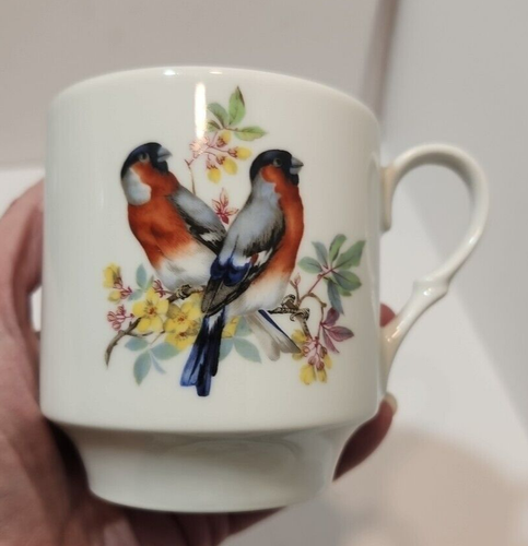 Vtg Schumann Arzberg Germany Set of 5 Songbird Stackable Coffee Cups - Picture 5 of 21