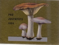 SCHWEIZ, 1994 Pro Juventute Markenheftchen 0-99 **, (17429)+