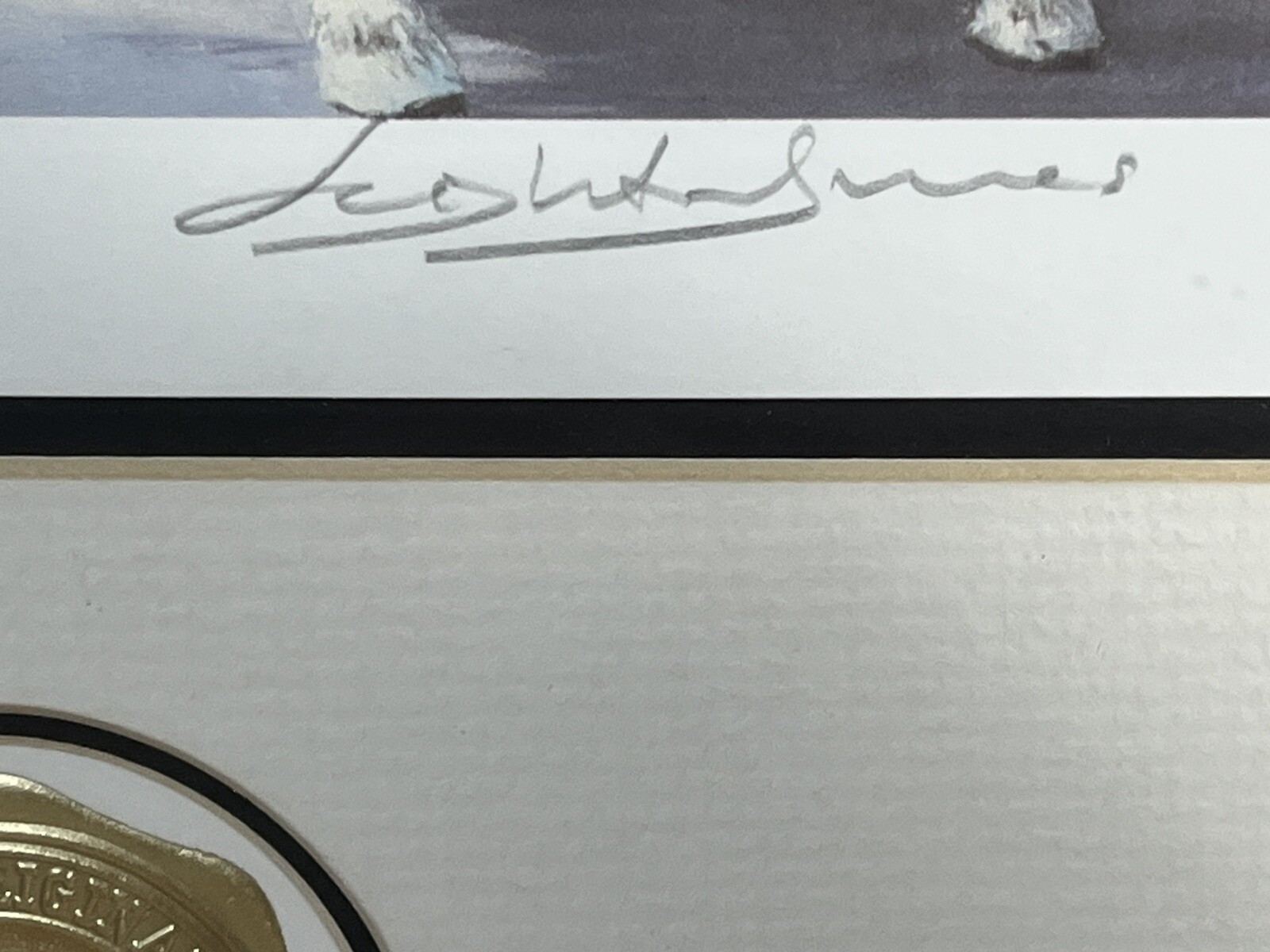 Picture 10 of 20