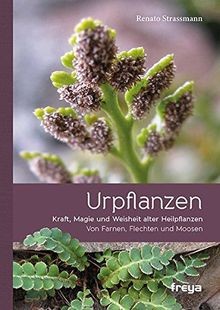 Urpflanzen: Kraft und Magie alter Heilpflanzen von ... | Buch | Zustand sehr gut