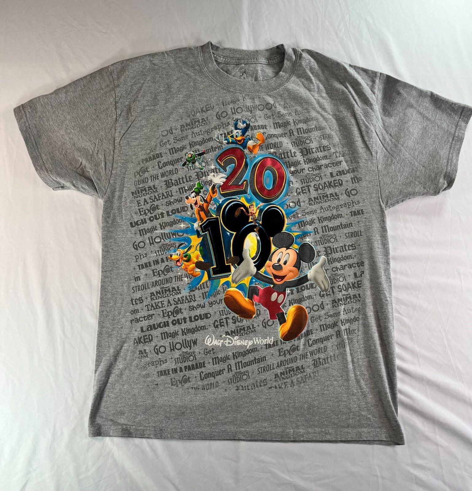 Disney World 2010 Vintage Gray Short Sleeve Graphic Tee Men's Size Large