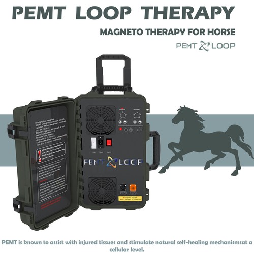 PEMF LOOP Therapy Rehabilitation Massage Equine PEMF Therapy