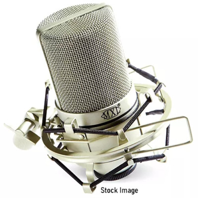 MXL 990 Large Diaphragm Condenser Studio Microphone Wind Screen and Cable