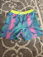 Chubbies Boy's Swim Trunks size 5 Dinosaur Mesh Liner