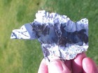Beautiful Australian Dendritic Opal - 4-slabs, 2-end pieces - 1 lb. — photo 6