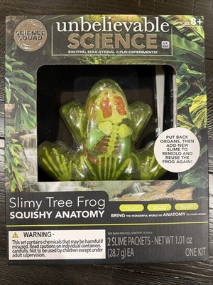 Unbelievable Science Slimy Tree Frog Squishy Anatomy Kids Educational Toy