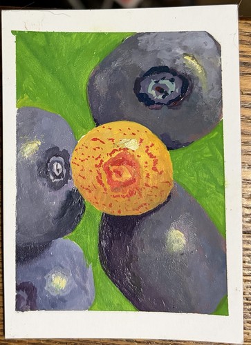 aceo original painting Blueberries