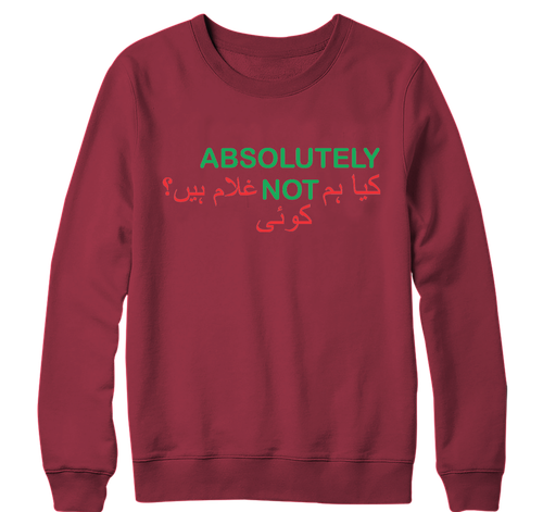 Absolutely Not Sweatshirt IMRAN KHAN EX Prime Minister Leader PTI Protest Slogan - Picture 3 of 15