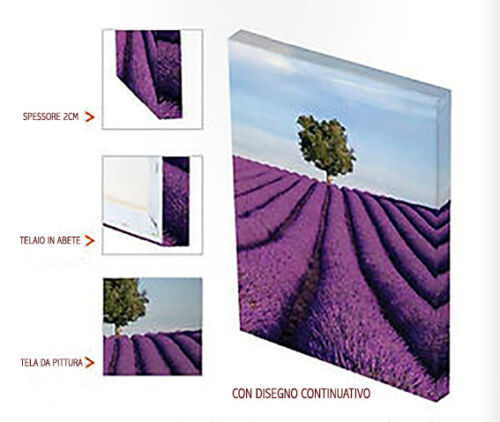 QUADRO STAMPA SU TELA CANVAS - banksy - occupy the sky - street art - moderno - Foto 3 di 3