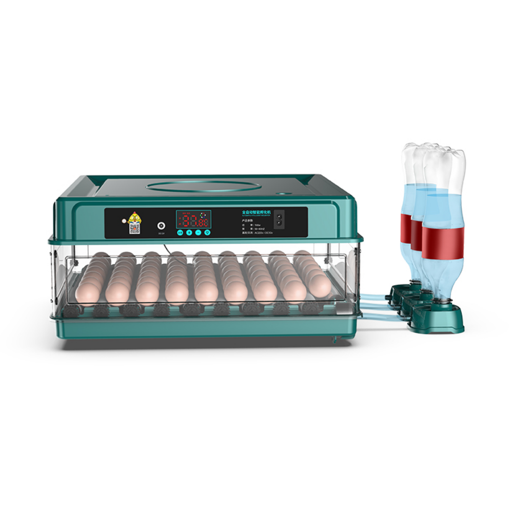 Temperature Control 12V 64 chicken egg Incubators Auto Chicken Incubator