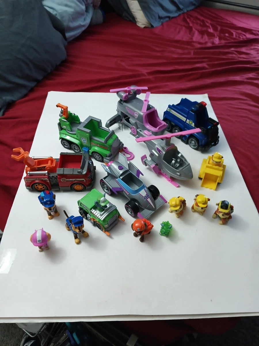 Paw rescue racers 2025